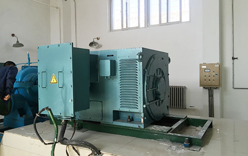 Y7106-4某水电站工程主水泵使用我公司高压电机一年质保
