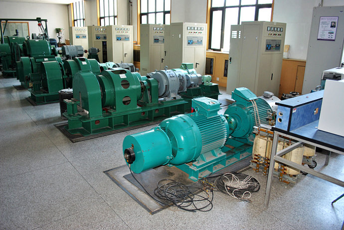 Y7106-4某热电厂使用我厂的YKK高压电机提供动力